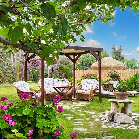 לגאנאס Pretty Spiti Holiday Retreat מראה חיצוני תמונה